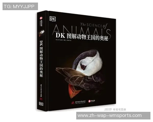 罗森与海的较量探索两者之间的深层联系与影响力分析